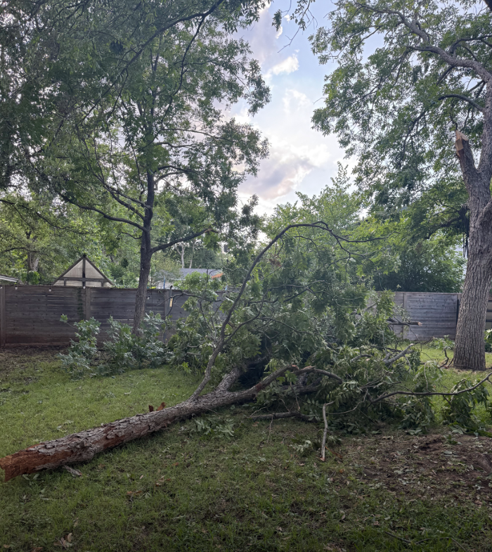 Dynamo Dusty's Tree Service Image