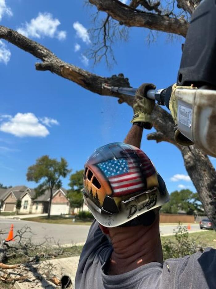 Dynamo Dusty's Tree Service Image