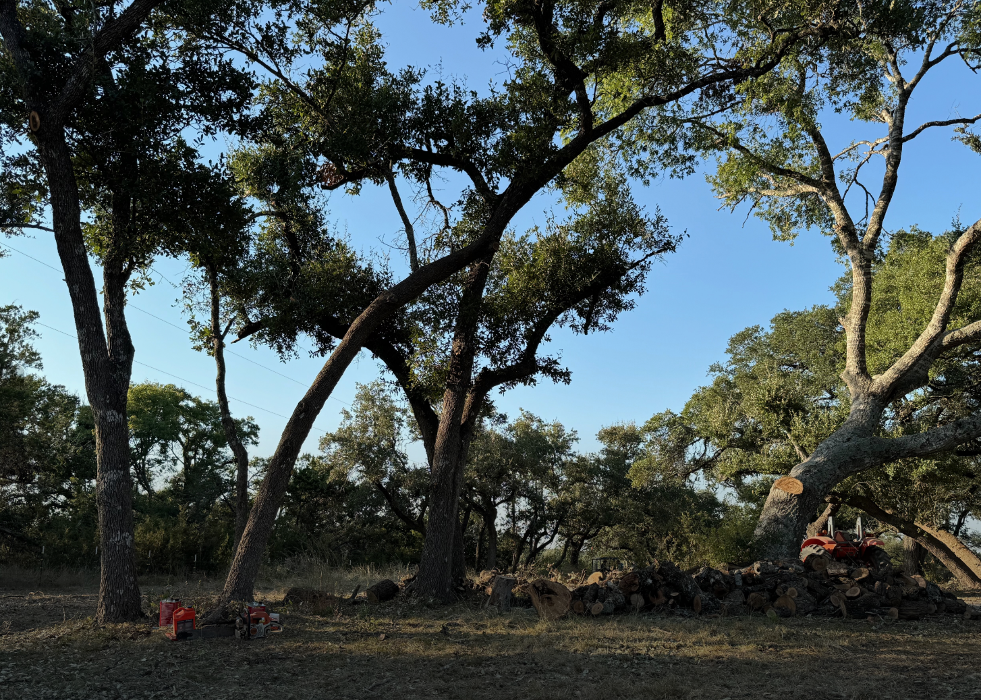 Dynamo Dusty's Tree Service Image