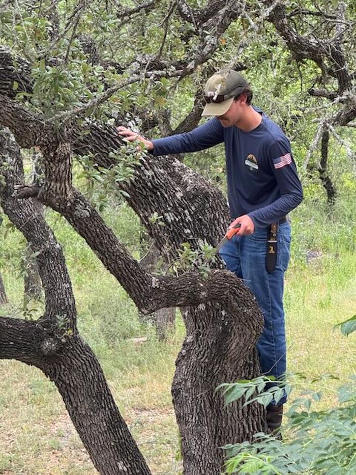 Dynamo Dusty's Tree Service Image