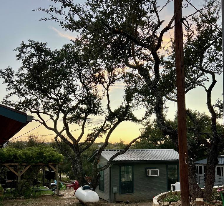 Dynamo Dusty's Tree Service Image