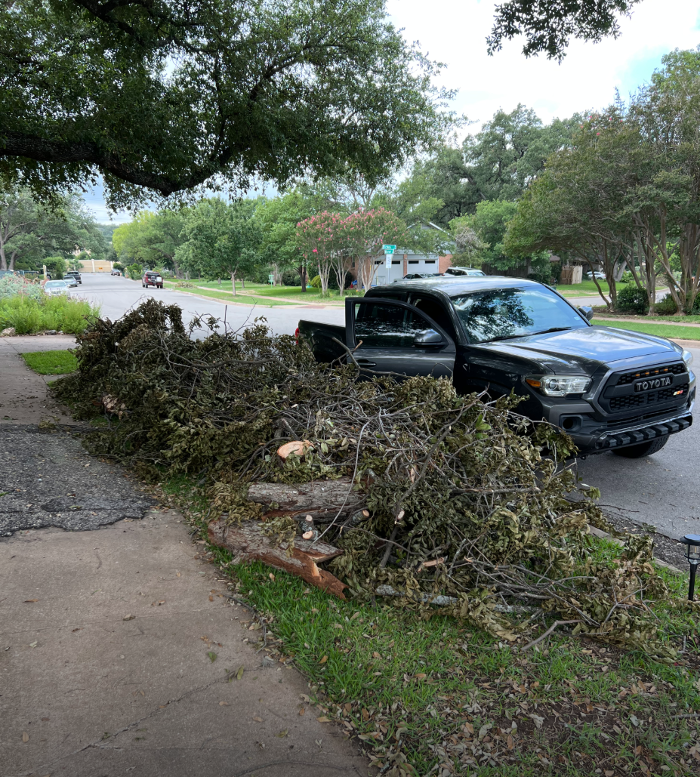 Dynamo Dusty's Tree Service Image