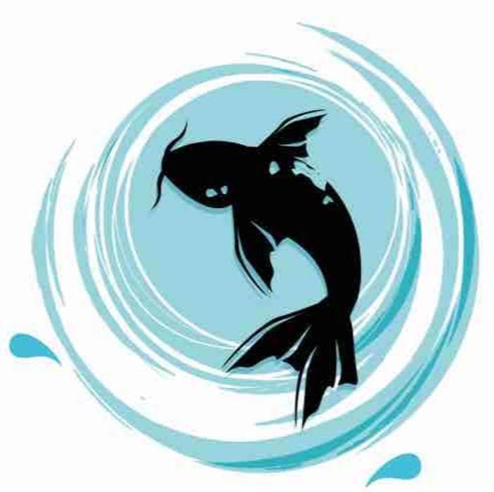 Black Koi Water Features and Ponds