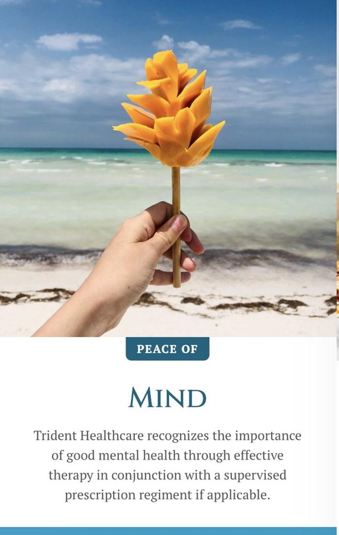 Trident Healthcare Image