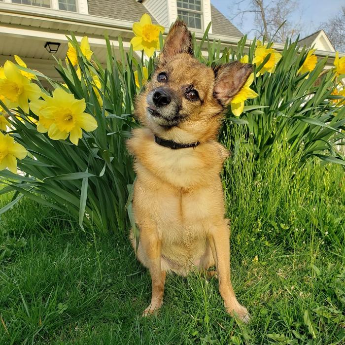 Mind and Body Infusion Therapies, LLC (MBIT) - Willoughby, OH