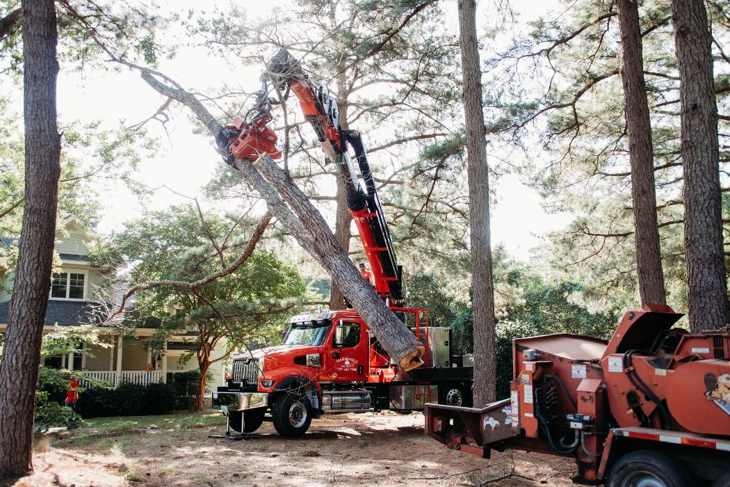Marshall's Tree Service Image