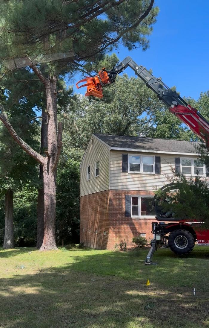 Marshall's Tree Service Logo