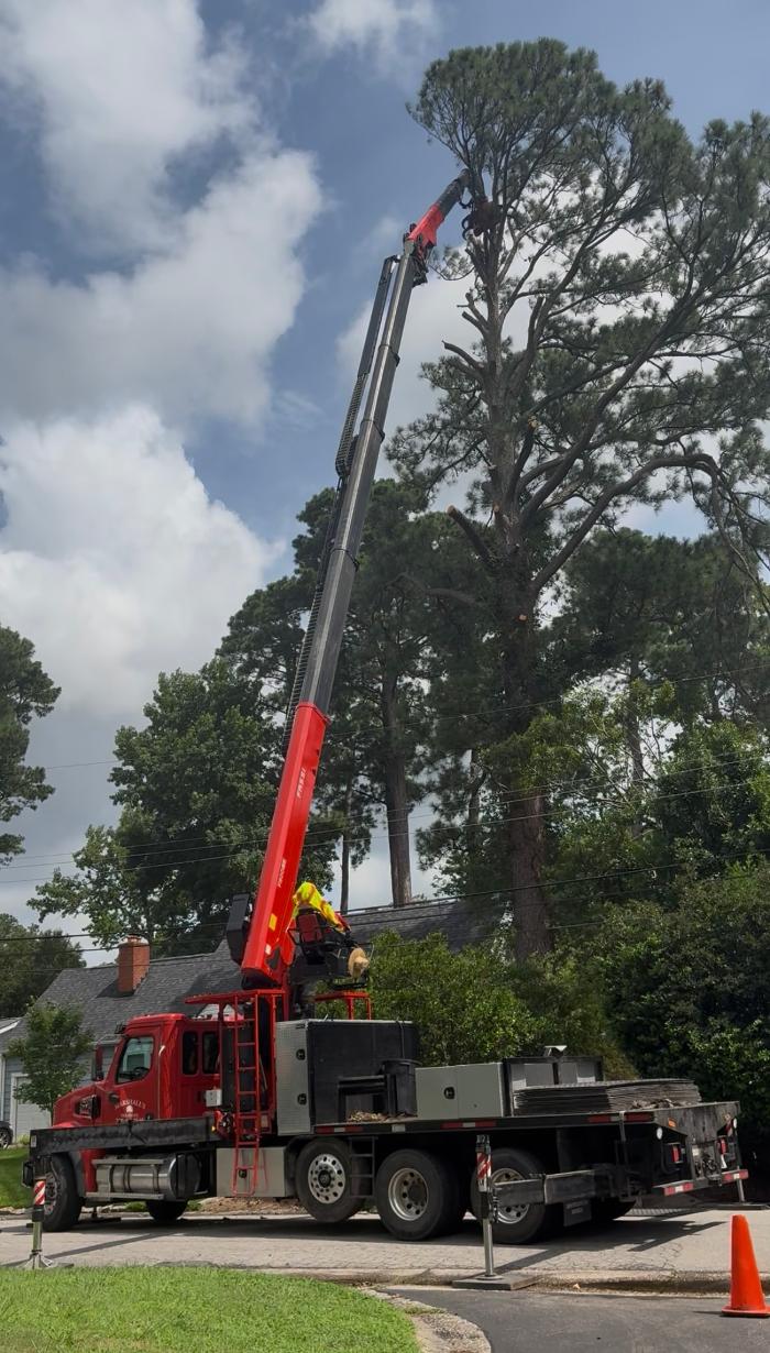 Marshall's Tree Service Image