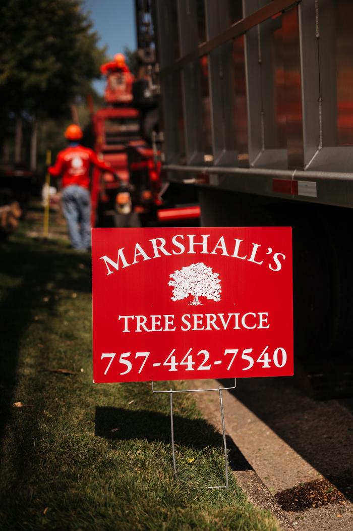Marshall's Tree Service Image