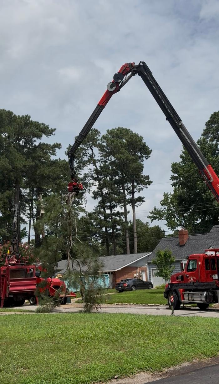 Marshall's Tree Service Image