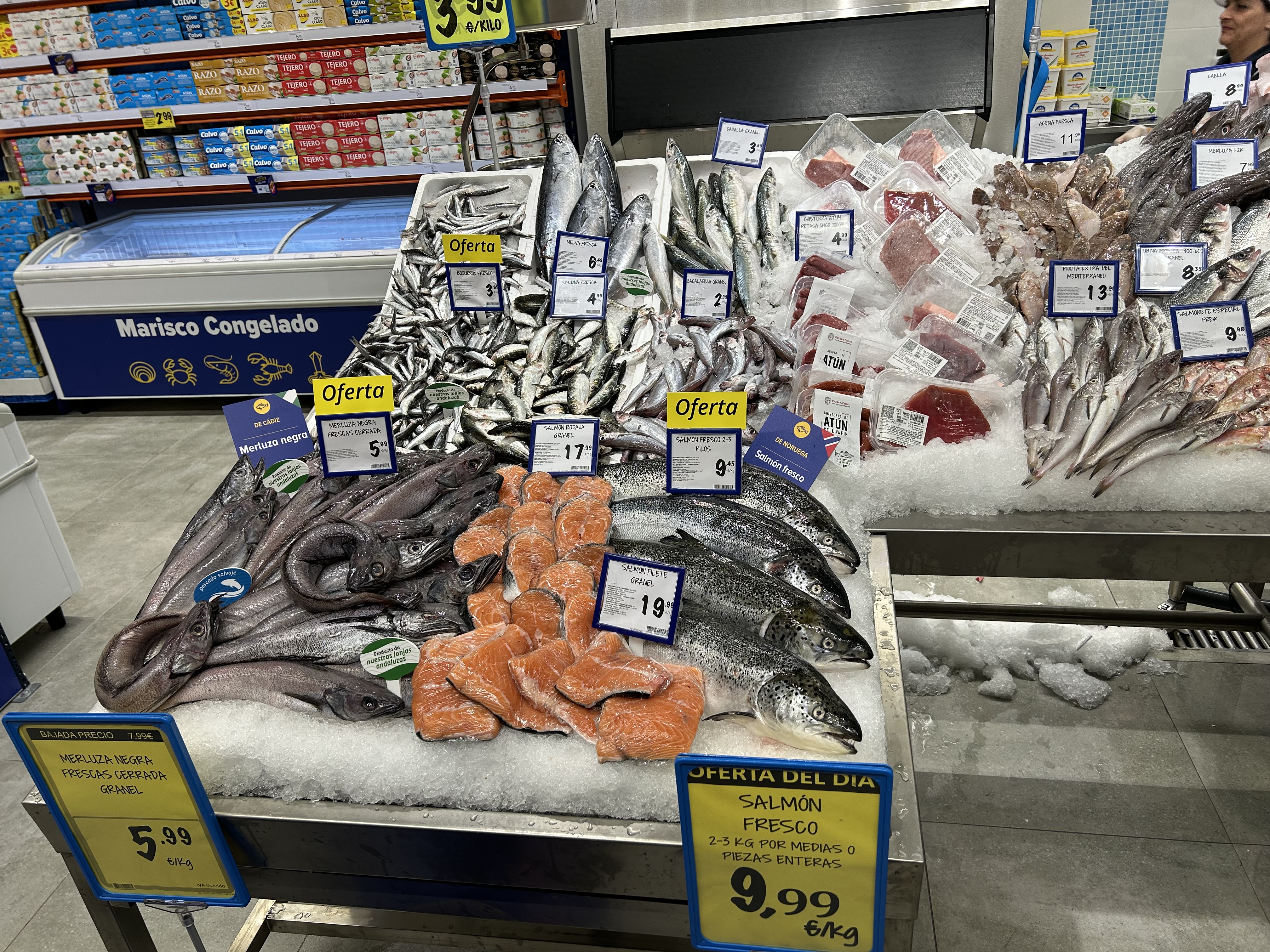 Galería en miniatura