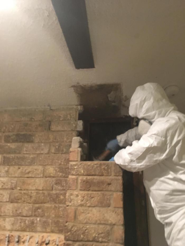 Luxe Roof Co. - Conroe, TX