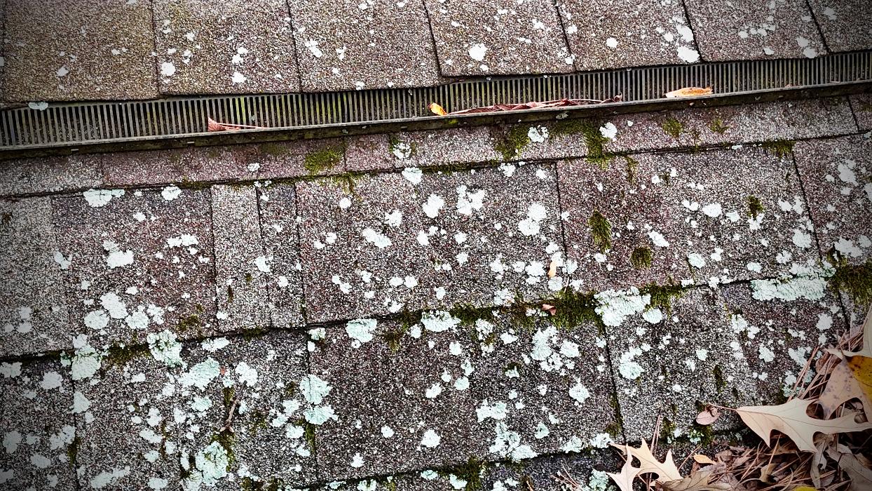 Luxe Roof Co. - Conroe, TX