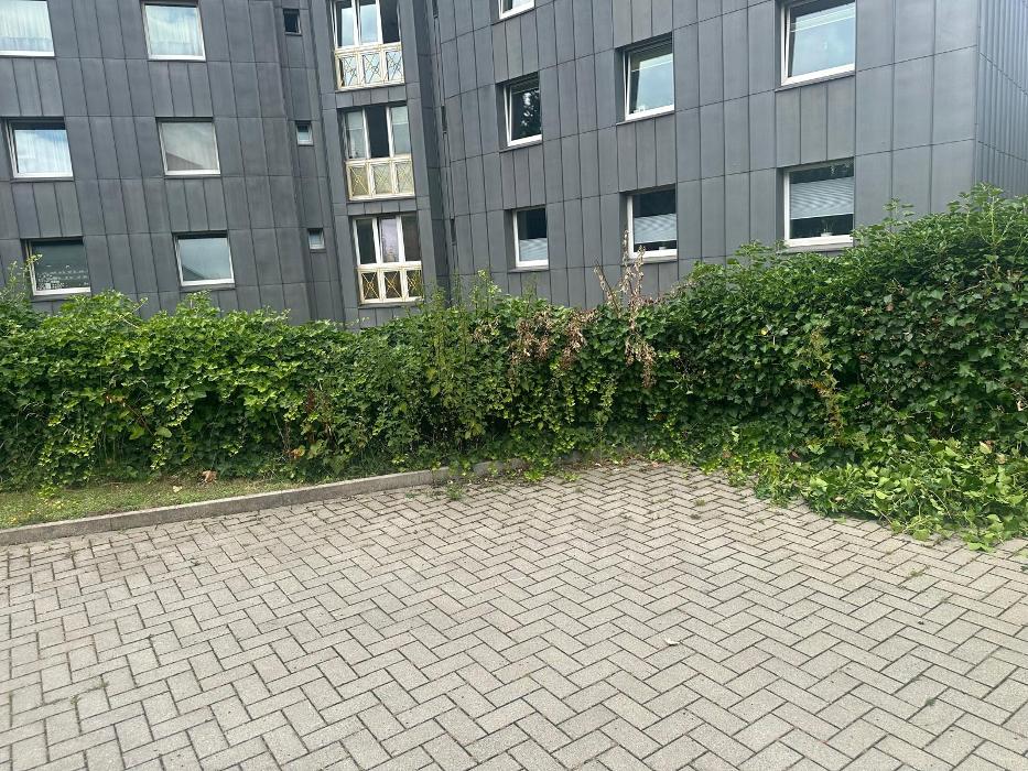 Katharos Reinigung, Frintroper Straße in Essen