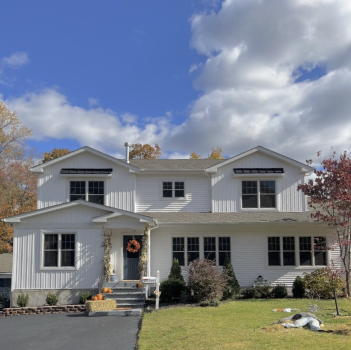 Big Dog Construction Image