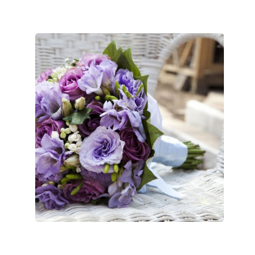 Pimlico Flowers London 020 7828 6430