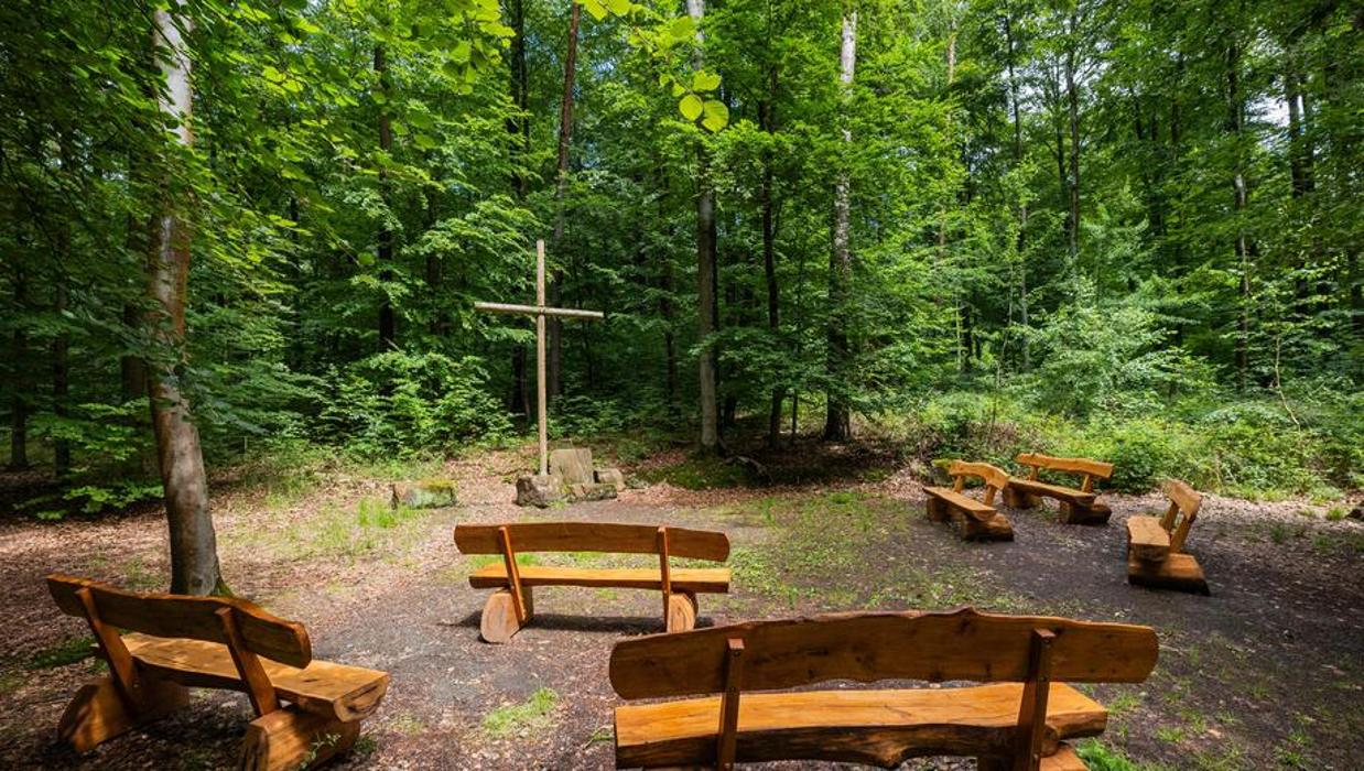 FriedWald Gelnhausen - Hailer, Keltenweg in Gelnhausen