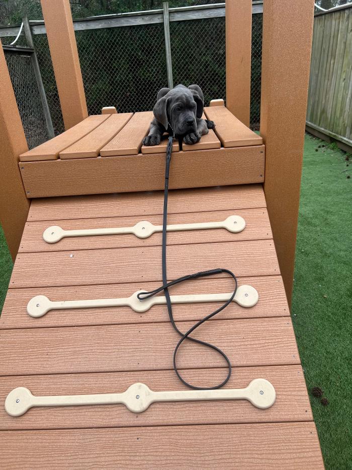 Hoffman Haus Pet Resort Image