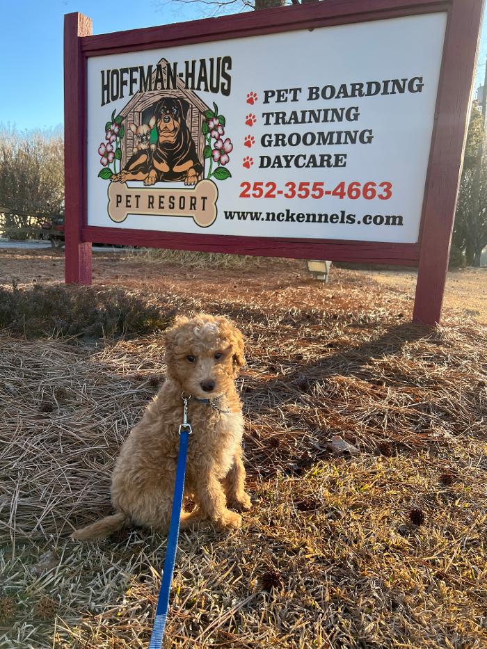 Hoffman Haus Pet Resort Logo