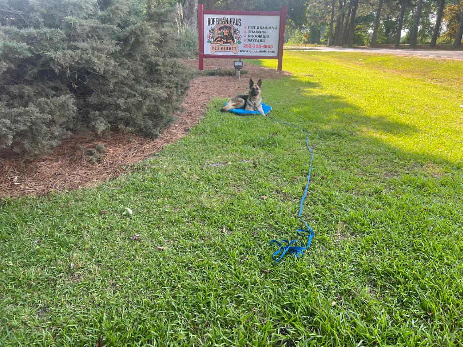 Hoffman Haus Pet Resort Image