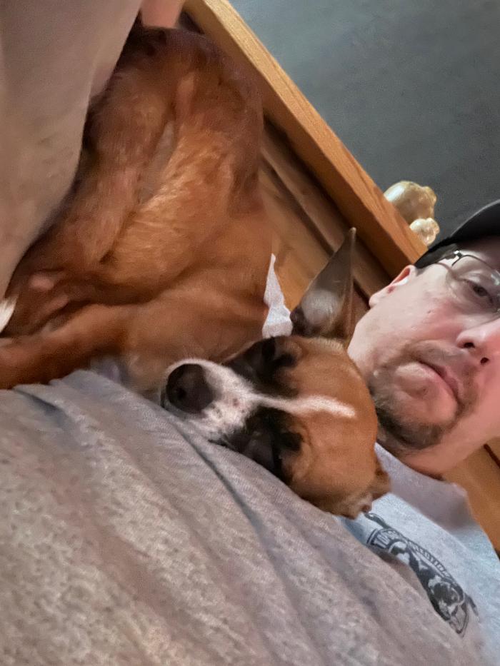 Hoffman Haus Pet Resort Image