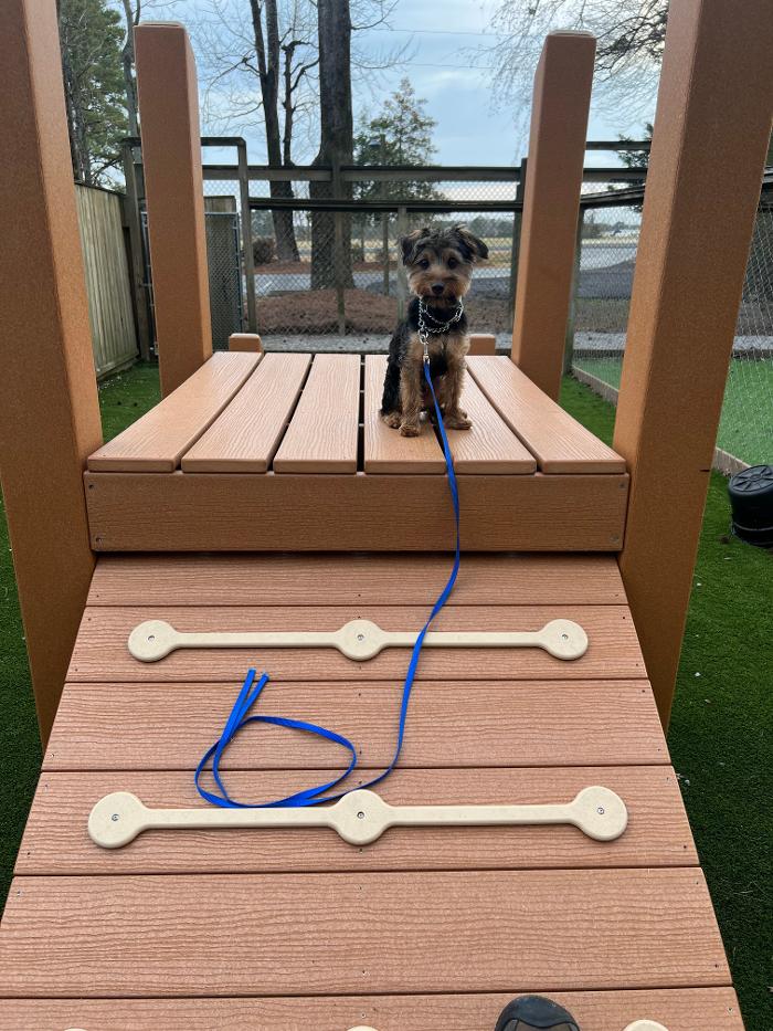 Hoffman Haus Pet Resort Image