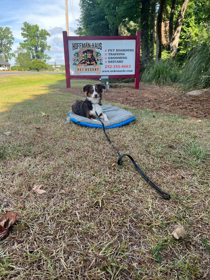 Hoffman Haus Pet Resort Image