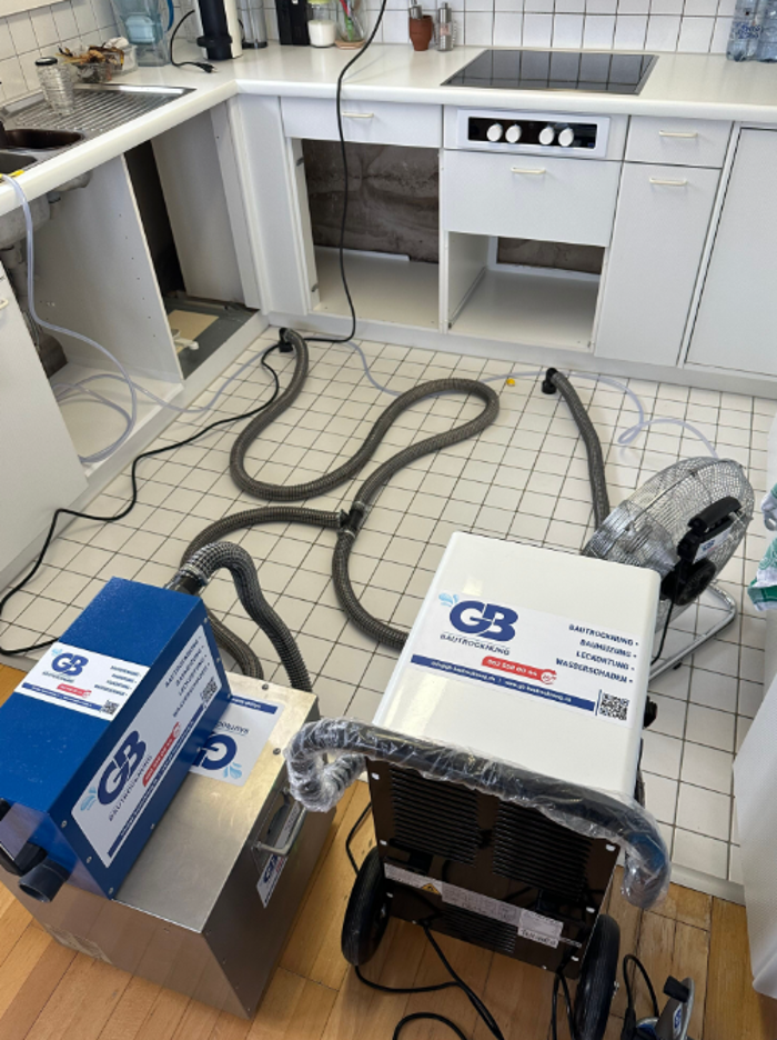 GB Bautrocknung, Aarauerstrasse in Reinach