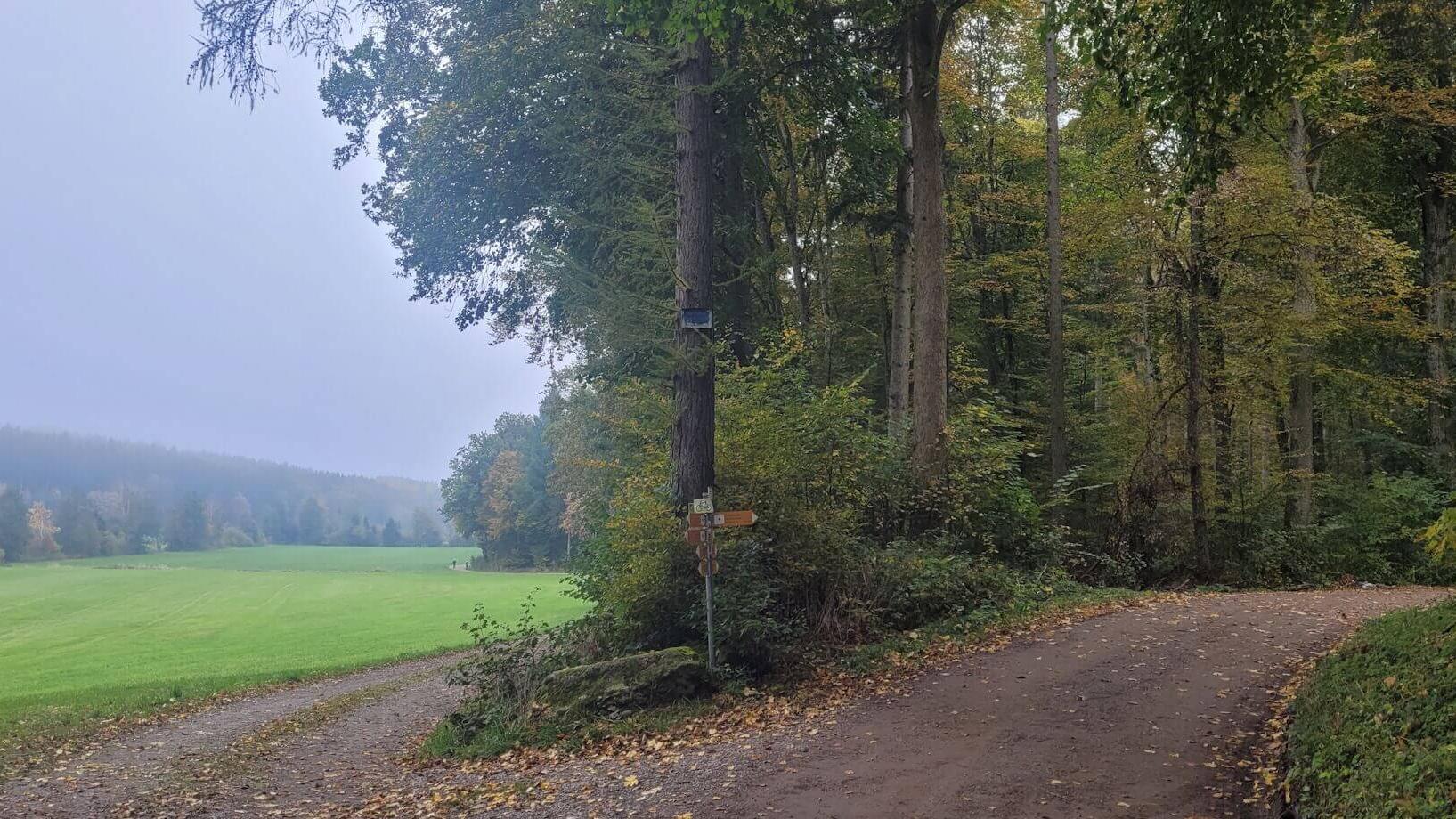 FriedWald Biberach an der Riß, Burren in Biberach