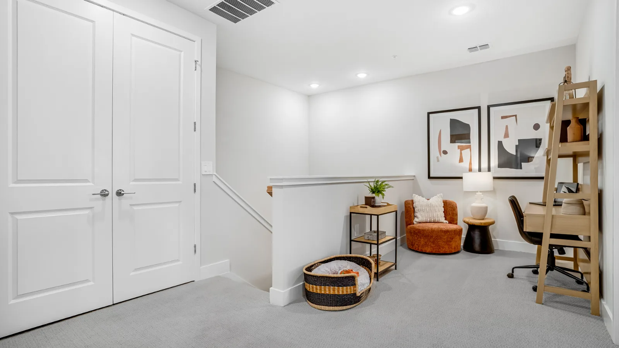 Yardly Bellalago Image