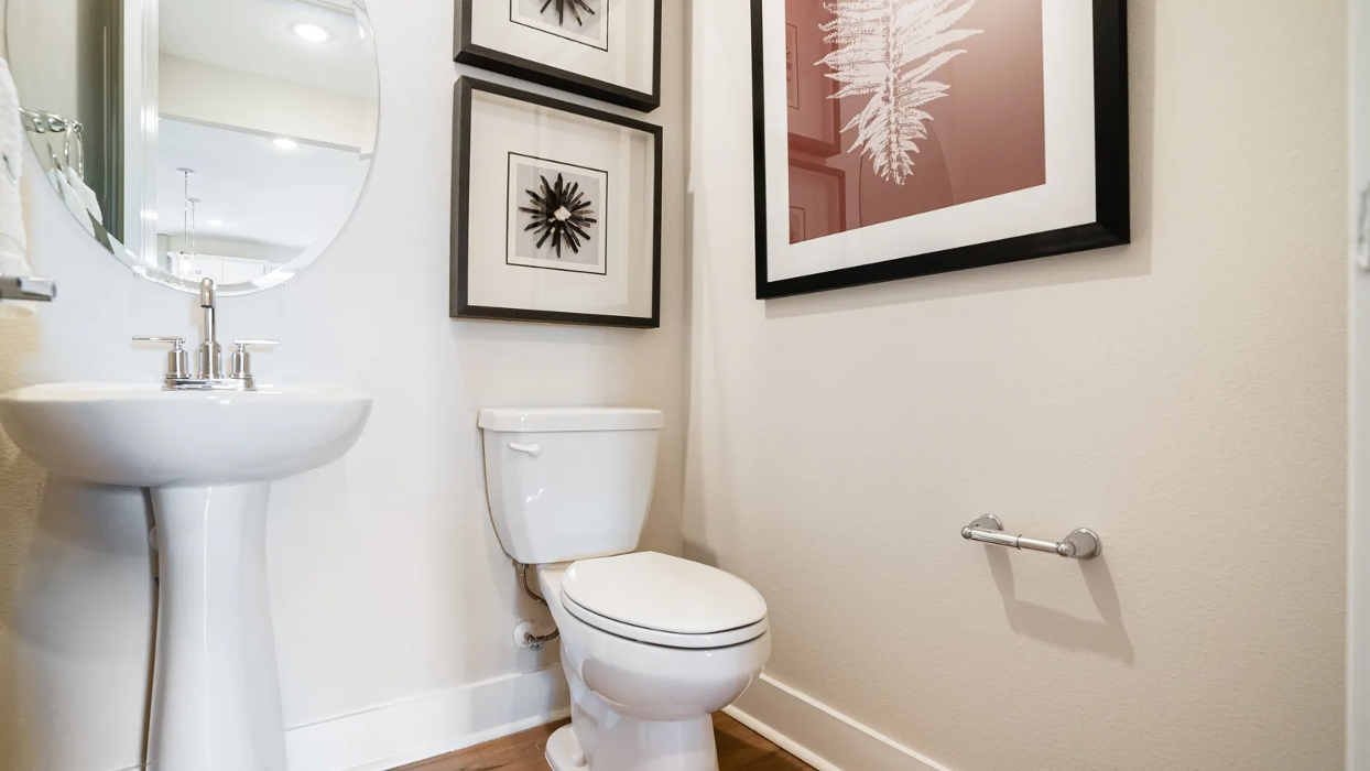 Yardly Bellalago Image