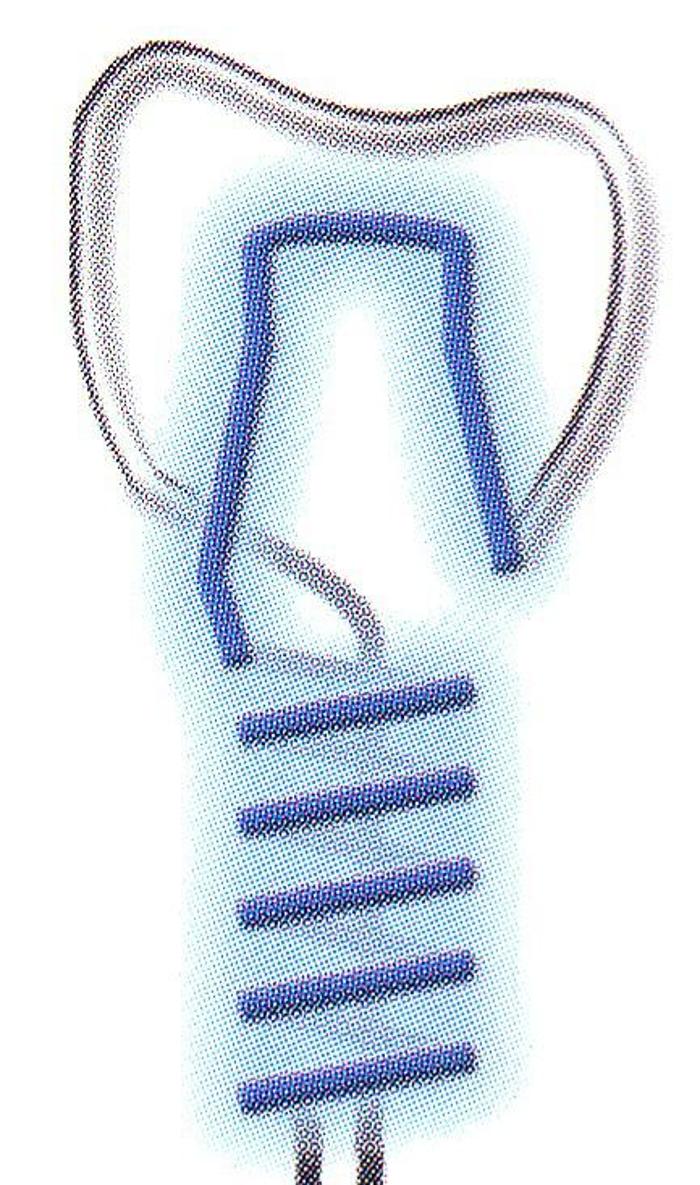 Bild zu Zahnarztpraxis Dr. Friedhelm Weber in Hamm in Westfalen