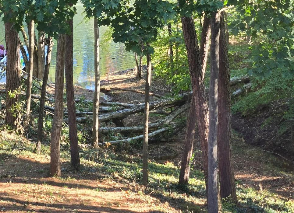 Hunnicutt Tree Service Image