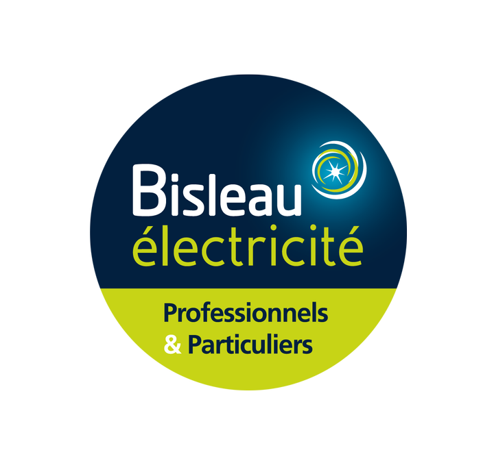 Bisleau Electricité électricité (production, distribution, fournitures)
