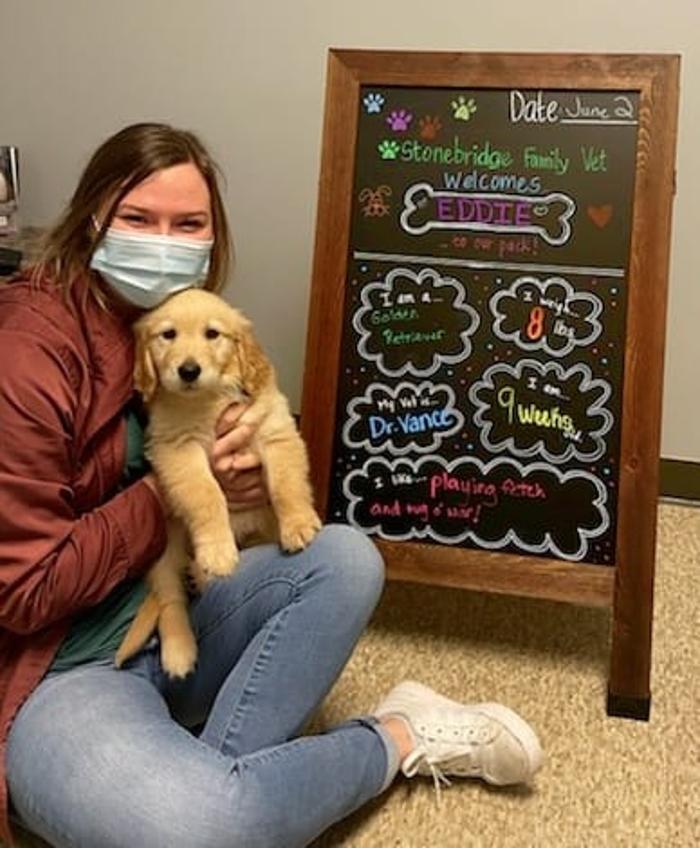 Stonebridge Family Vet Image