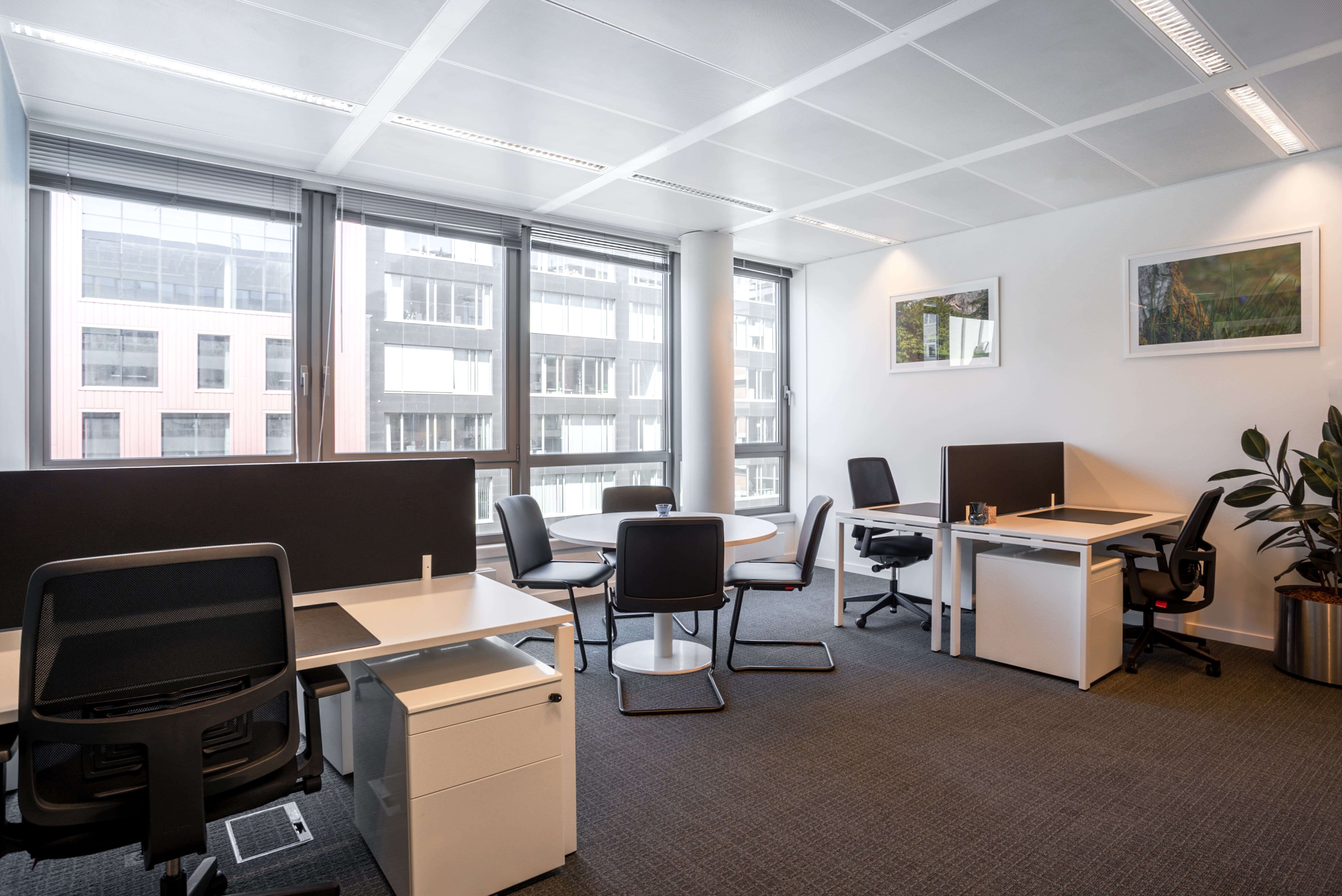 Miniature de la galerie