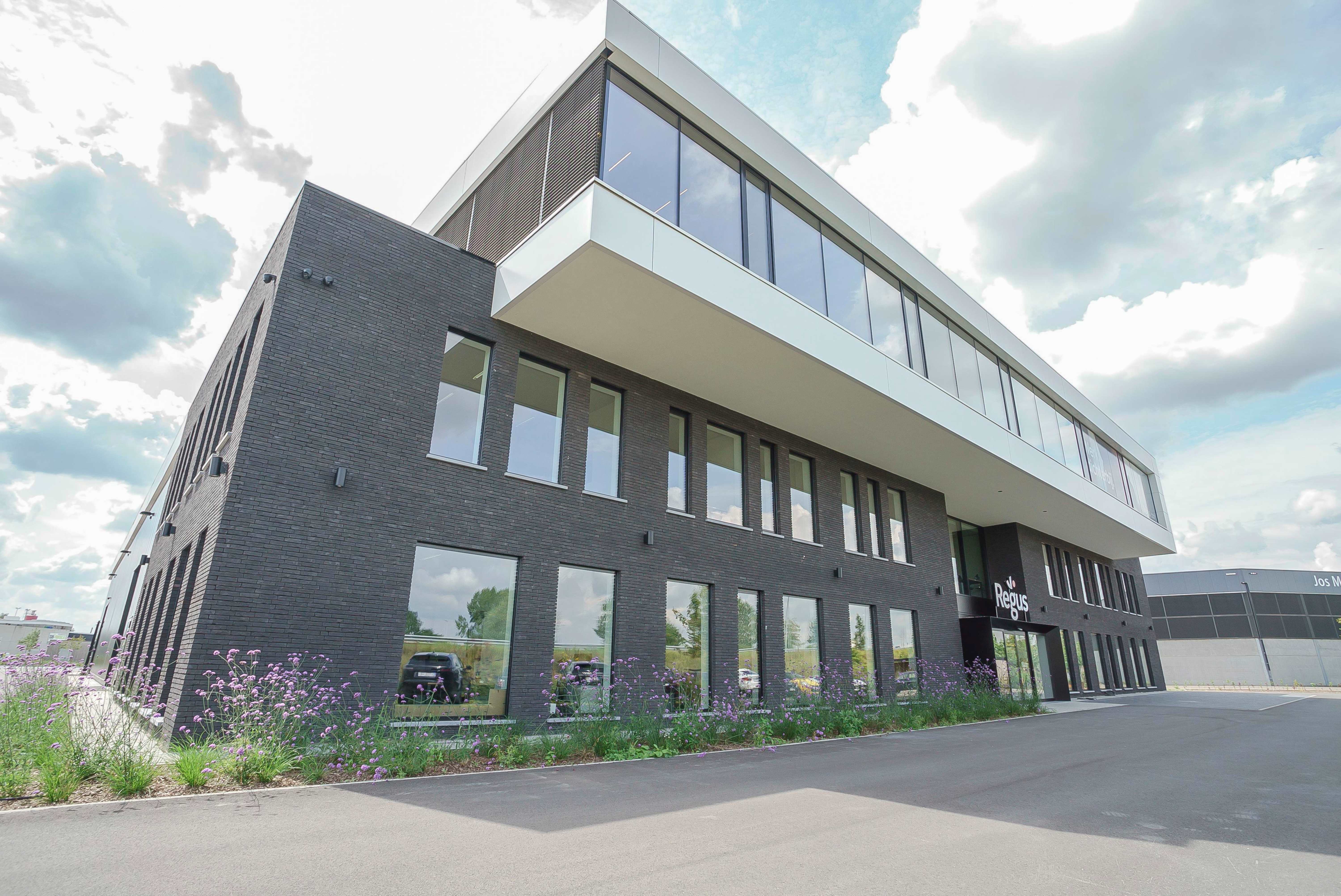 Miniature de la galerie