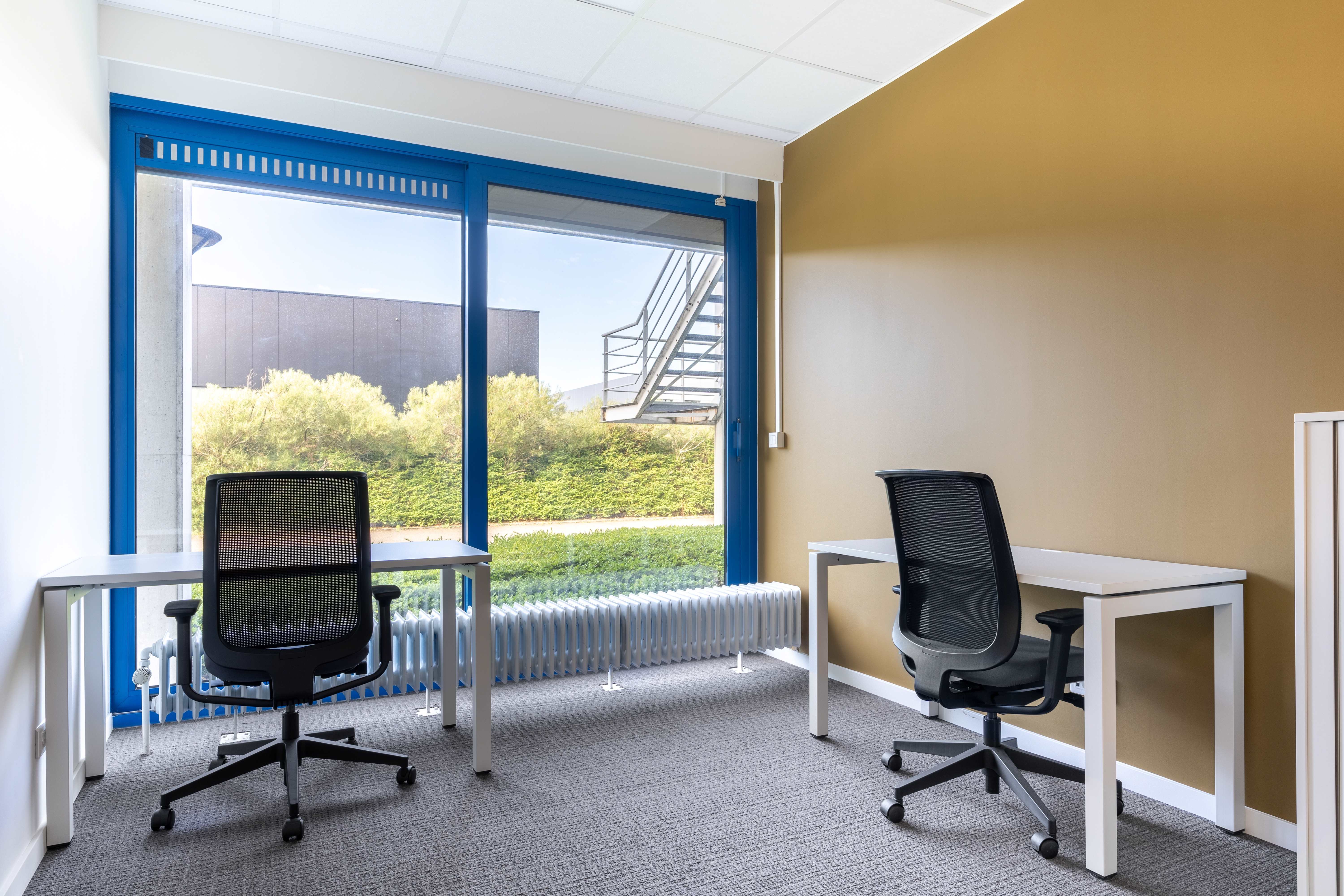 Miniature de la galerie