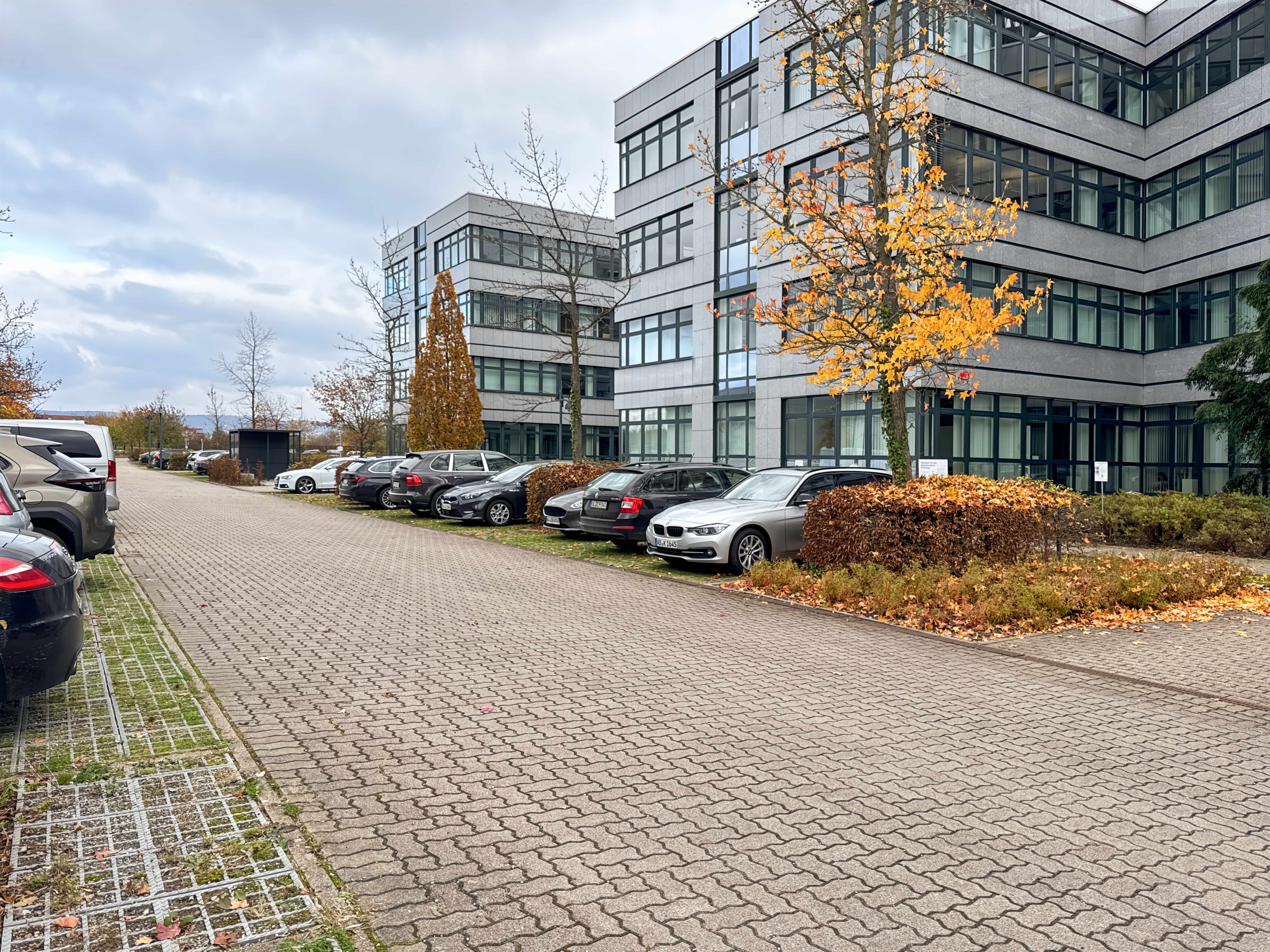 Galerie-Thumbnail