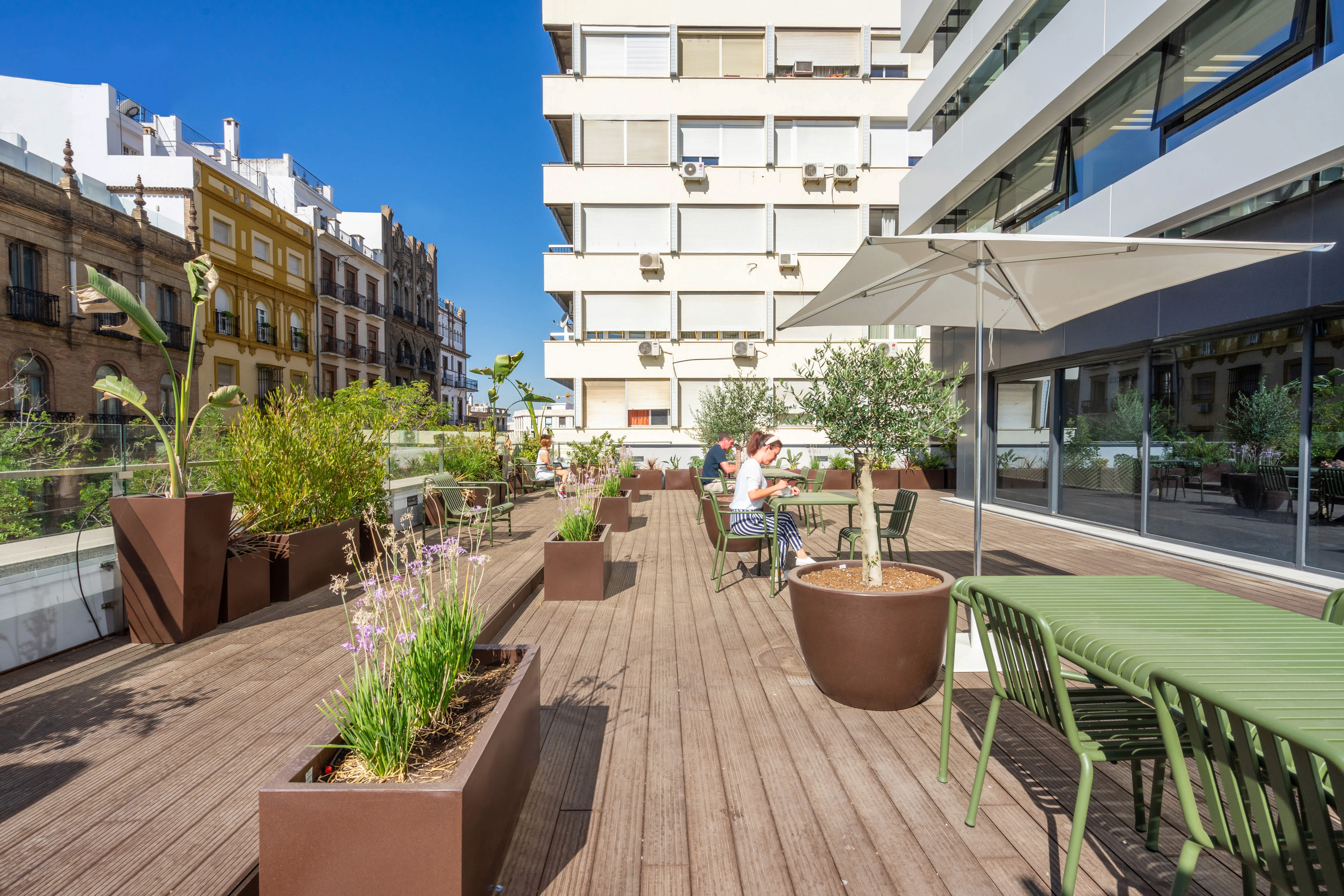 Galería en miniatura