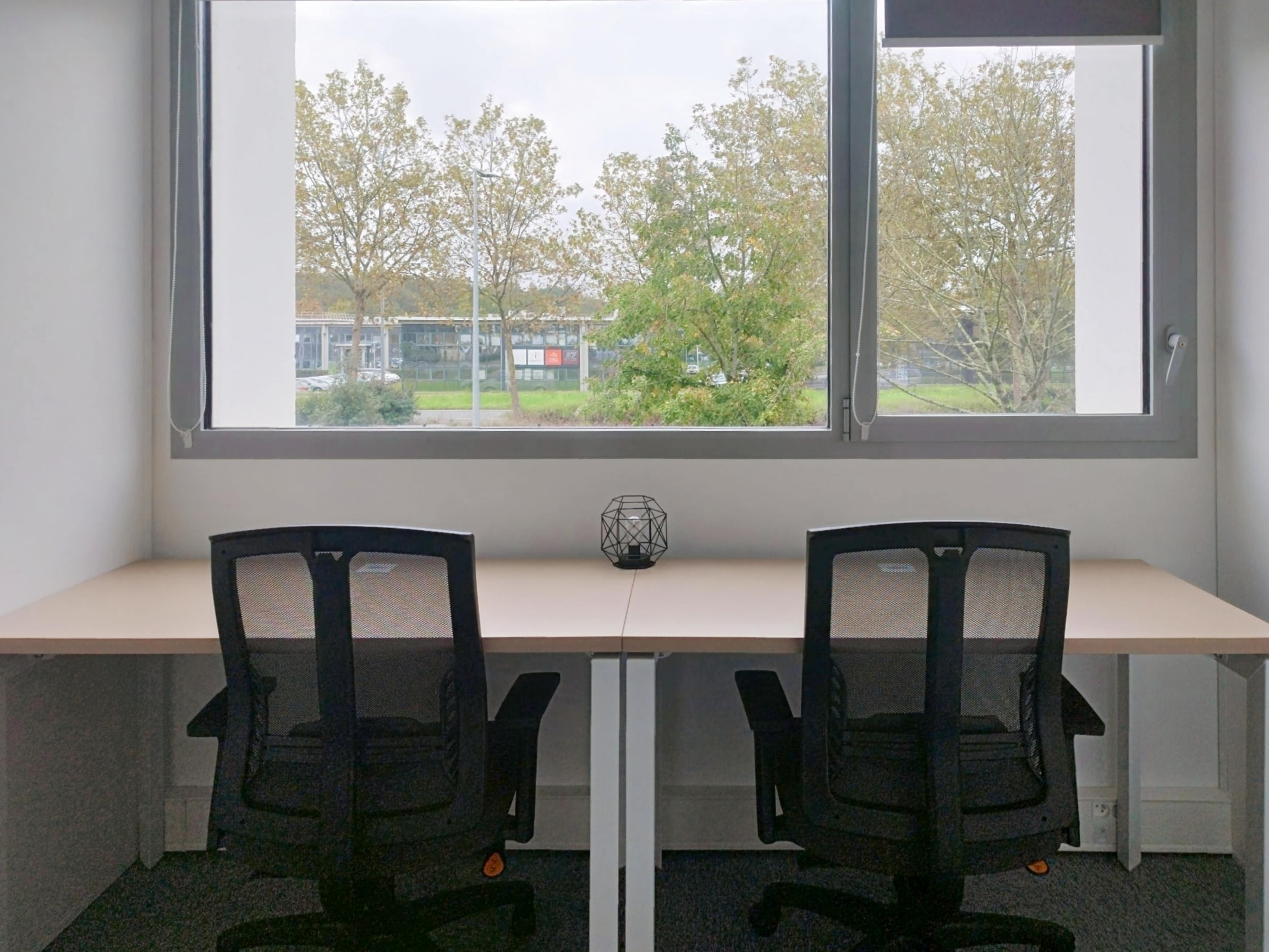 Miniature de la galerie