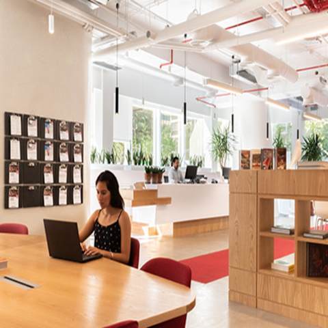 Galería en miniatura