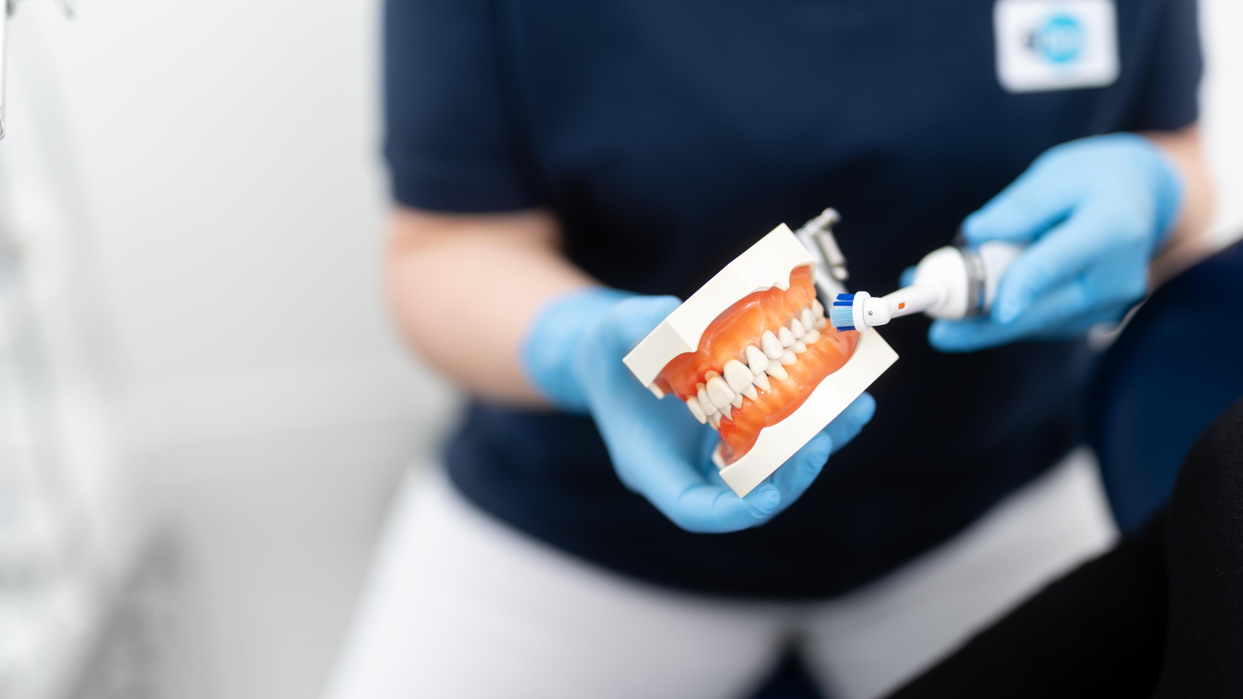 Zahnarztpraxis Bad Segeberg | DDent Praxisverbund, Ziegelstraße in Bad Segeberg