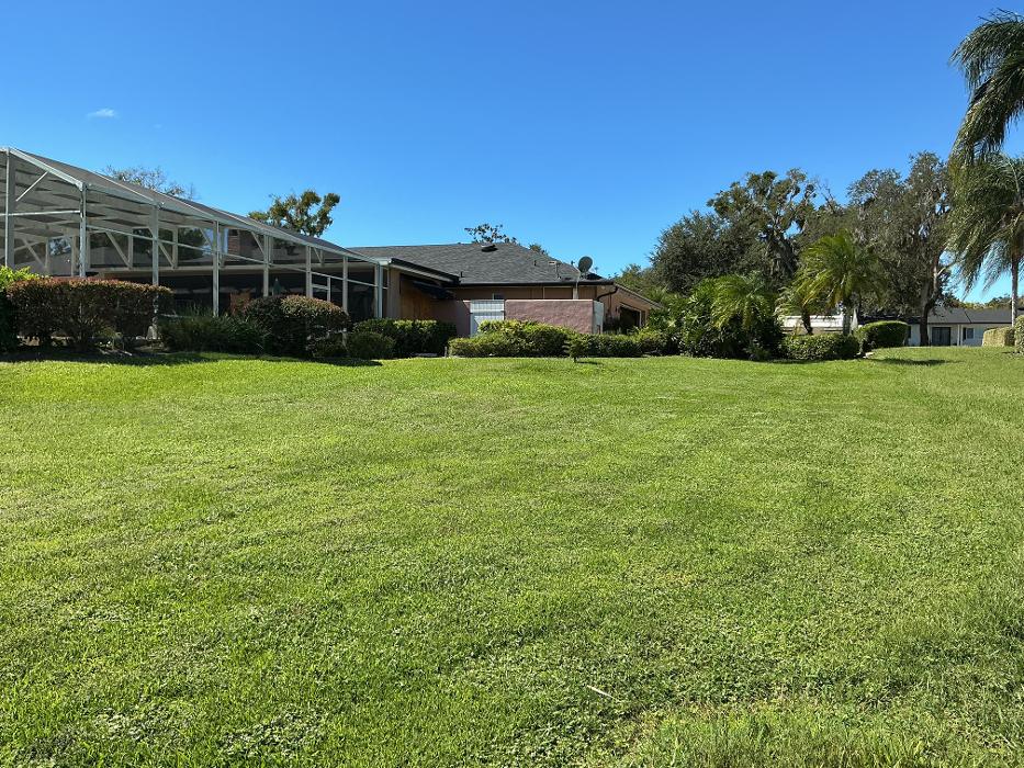 Amerigrown Tree and Lawn Image