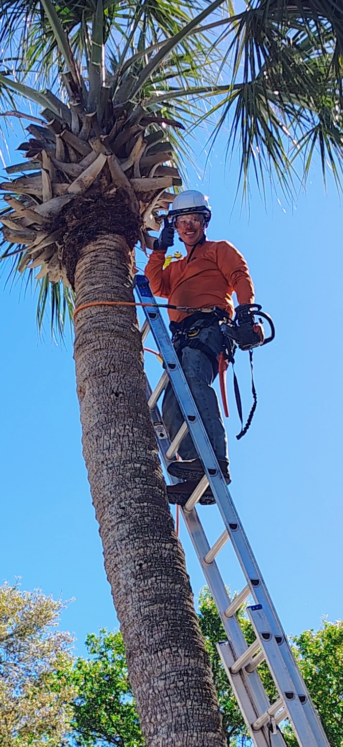 Amerigrown Tree and Lawn Image