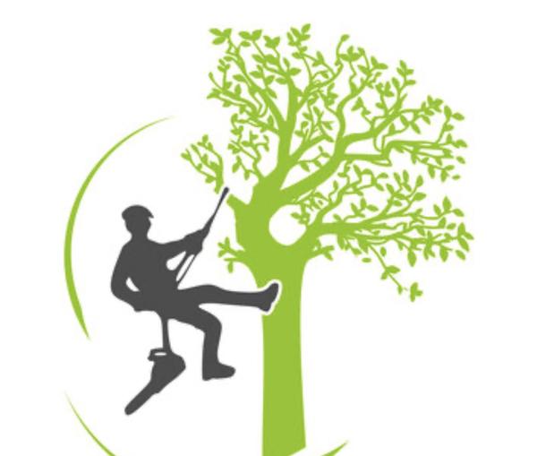 Siegler Nicolas Expert