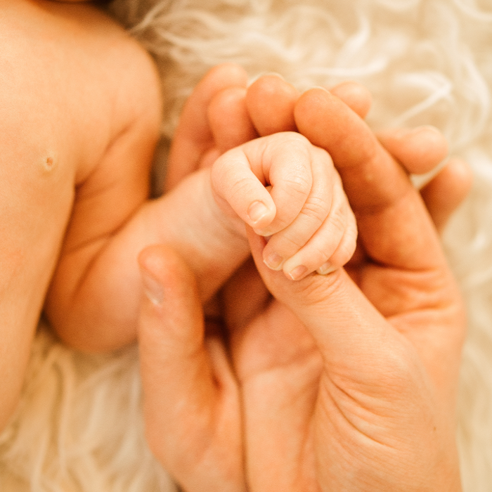 Janasfotoliebe - Familienfotografin, Bruchwiesen in Seevetal