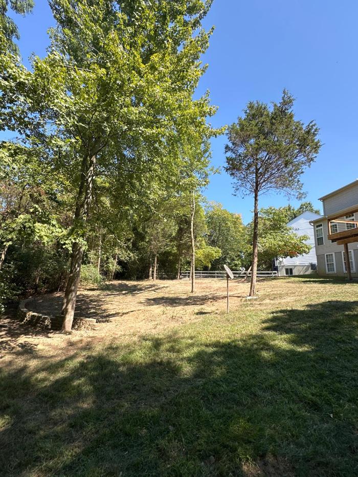 Anstaett's Tree Service Image