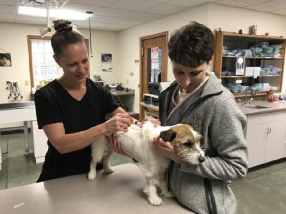 Woodhaven Animal Health Logo