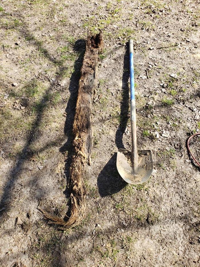 Big Boys Plumbing Image